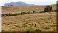 P6076506.JPG