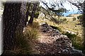 P6076508.JPG