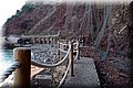 P6116625.JPG