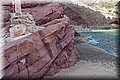 P6116630.JPG