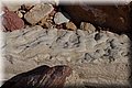 P6116637.JPG