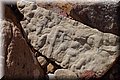 P6116639.JPG