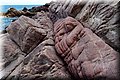 P6116640.JPG