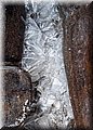 P6116650.JPG