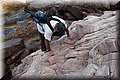 P6116656.JPG