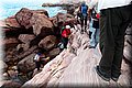 P6116659.JPG