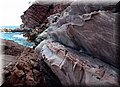 P6116669.JPG
