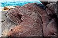 P6116680.JPG