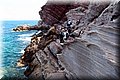 P6116681.JPG