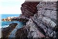 P6116695.JPG