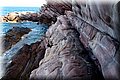 P6116696.JPG