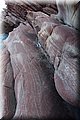 P6116699.JPG
