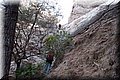 P6116757.JPG