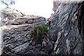 P6116762.JPG
