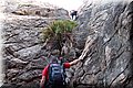 P6116767.JPG