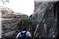 P6116771.JPG