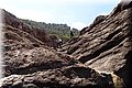 P6116796.JPG