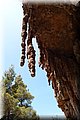 P6116836.JPG