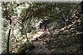 P6116866.JPG