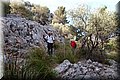 P6146871.JPG