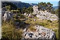 P6146877.JPG