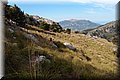 P6146878.JPG