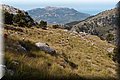 P6146879.JPG