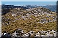 P6146880.JPG