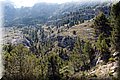 P6146910.JPG