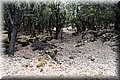 P6146917.JPG