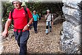 P6146923.JPG