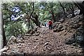 P6146926.JPG