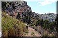 P6146930.JPG