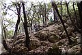 P6146940.JPG