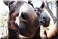 P6146961.JPG
