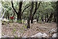 P6187031.JPG