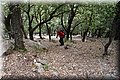 P6187033.JPG