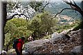 P6187039.JPG