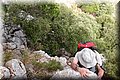 P6187069.JPG