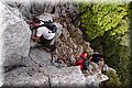 P6187078.JPG