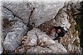 P6187083.JPG