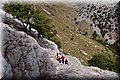 P6187093.JPG
