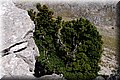 P6187134.JPG
