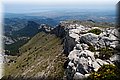 P6187136.JPG