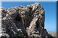 P6187140.JPG