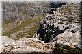 P6187153.JPG