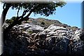 P6187198.JPG
