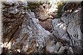 P6187218.JPG