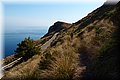 P6257310.JPG