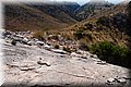P6257350.JPG